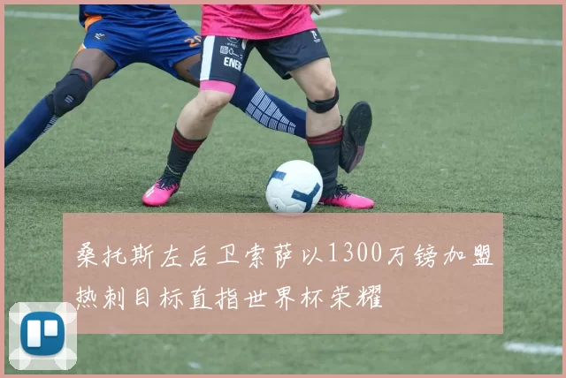 桑托斯左后卫索萨以1300万镑加盟热刺目标直指世界杯荣耀